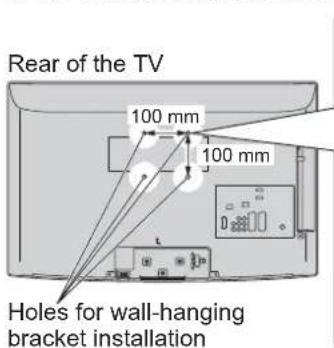 PANASONIC Viera TX-L19D28EW - Optional accessories - 3
