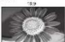 PANASONIC Viera TX-26LXD70 - Aspect Ratio - 5