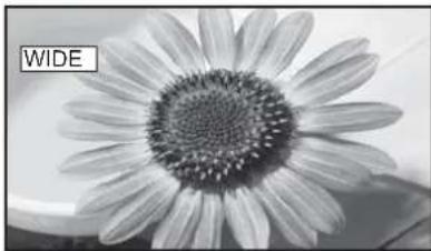 PANASONIC Viera TX-26LE60F - Notes: - 1