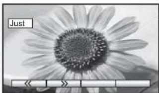 PANASONIC Viera TX-26LE60F - Just - 3