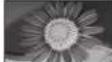 PANASONIC Viera TH-50PX71E - Aspect Ratio - 4