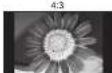PANASONIC Viera TH-50PX71E - Aspect Ratio - 5