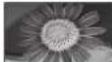 PANASONIC Viera TH-50PX71E - Aspect Ratio - 1