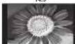 PANASONIC Viera TH-50PX71E - Aspect Ratio - 3