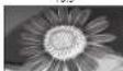PANASONIC Viera TH-50PX71E - Aspect Ratio - 2