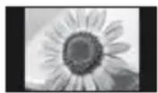 PANASONIC Viera TX-PF42S30 - Do not display a still picture for a long time - 1
