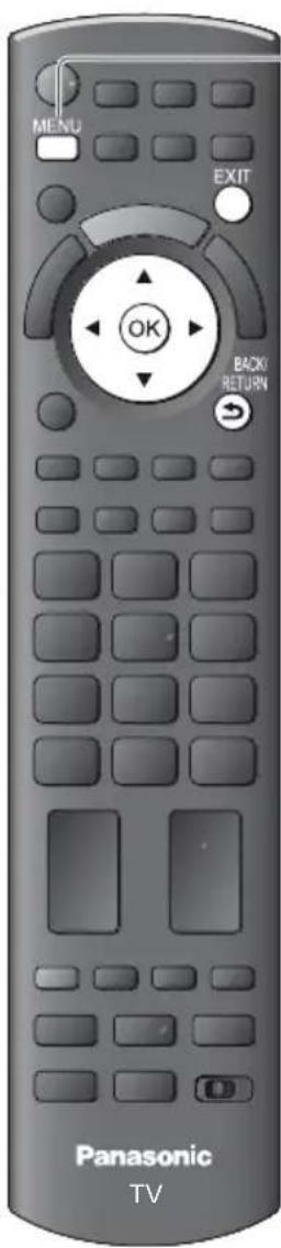 PANASONIC Viera TX-PF42S30 - Input Labels - 1