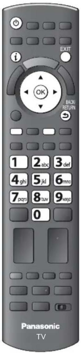 PANASONIC Viera TX-PF42S30 - Plug the TV into mains socket and switch On - 1