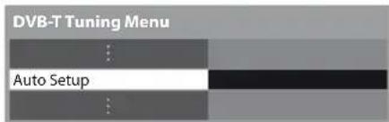 PANASONIC Viera TX-PF42S30 - Select [Auto Setup] - 1