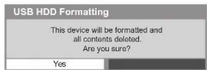 PANASONIC Viera TX-P50VT50J - Caution and confirmation of using USB HDD - 3