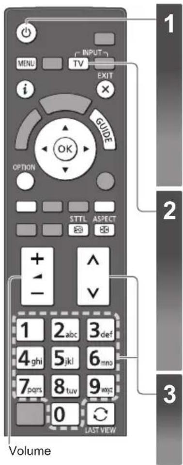 PANASONIC Viera TX-P50VT50J - Watching TV - 1