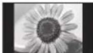 PANASONIC Viera TX-P50VT50J - While the list is displayed, select the mode - 11