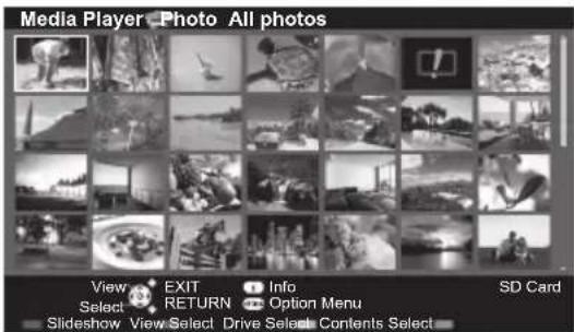 PANASONIC Viera TX-P50VT50J - Photo mode - 1