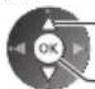 PANASONIC Viera TX-P50VT50J - Select [Recording Setup] - 2