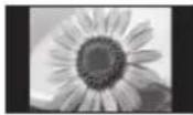 PANASONIC Viera TX-P50VT50J - Do not display any still part of the image for a long period - 1