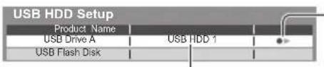 PANASONIC Viera TX-P50VT50J - Confirmation to enable USB HDD for recording - 3
