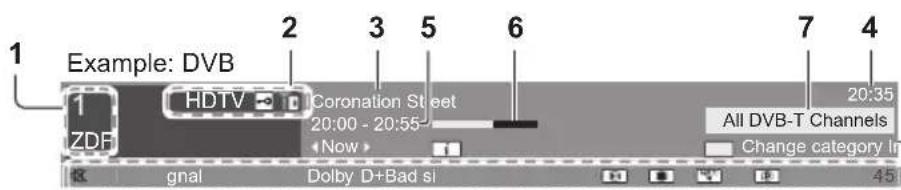 PANASONIC Viera TX-P50VT50J - Display Information banner - 2