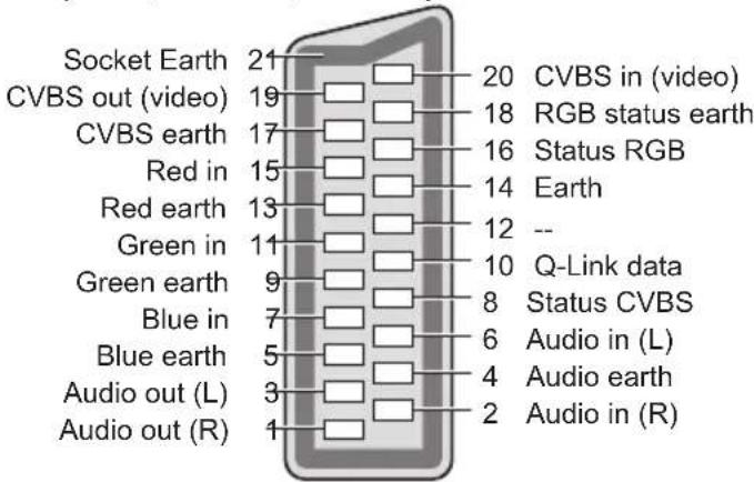 PANASONIC Viera TX-P50VT50J - SCART and HDMI terminal information - 1