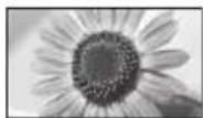PANASONIC Viera TX-P50VT50J - While the list is displayed, select the mode - 6
