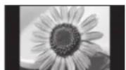 PANASONIC Viera TX-P50C10E - Do not display a still picture for a long time - 1