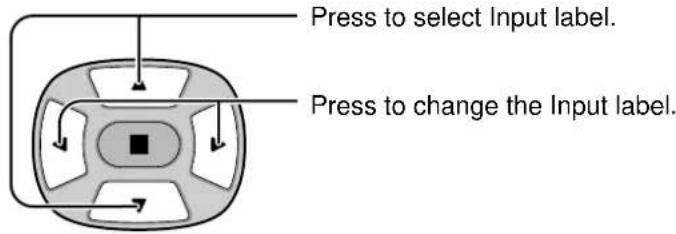 PANASONIC TH-42PWD6BX - Customizing the Input labels - 1