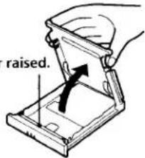 raised.