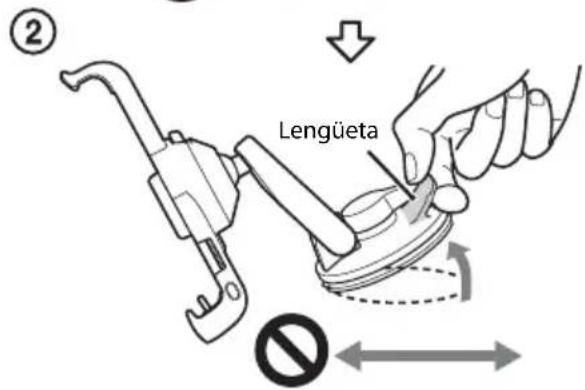 Lengüeta ②