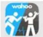 True Performance 800 - Download Wahoo's Runfit App - 1
