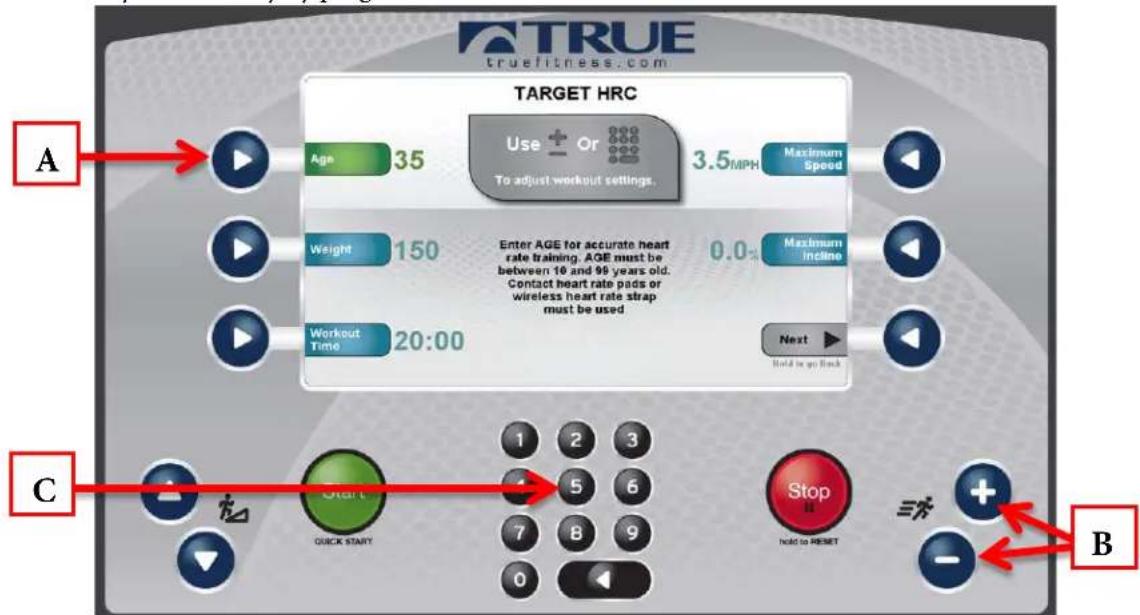 True Excel 900 T - Workout Data Entry Screens: - 1