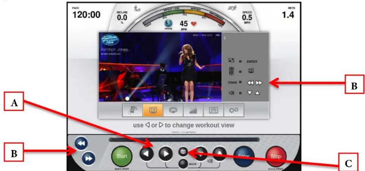 True Excel 900 T - TV CONTROLS: - 1