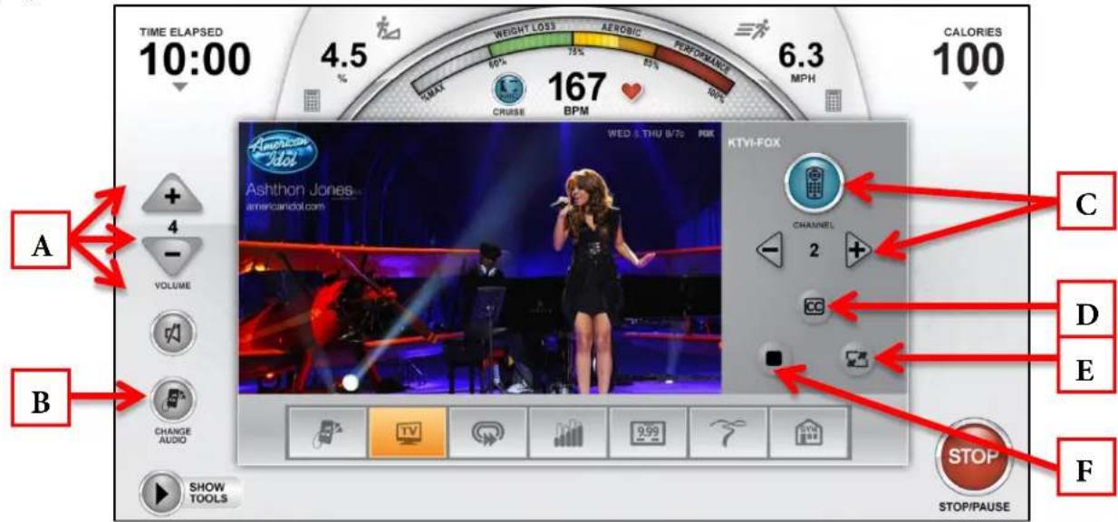 True Excel 900 T - TV CONTROLS: - 1