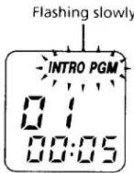 Flashing slowly INTRO PGM 01 00:05