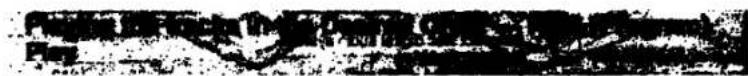 Scanned text of contract clauses with partially visible Chinese characters and a large 'F' symbol.