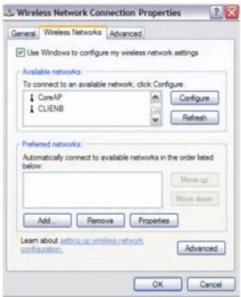 SONY Vaio VGN-S170 - Wireless Network Connection Properties - 1