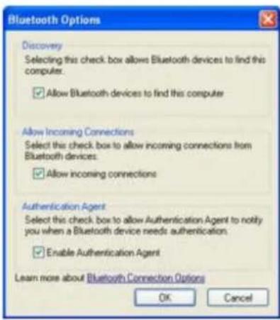 SONY Vaio VGN-S170 - Bluetooth Options - 1