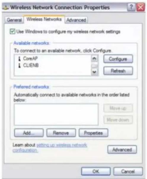 SONY Vaio VGN-S170 - Wireless Network Connection Properties - 1