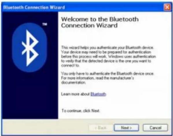 SONY Vaio VGN-S170 - Bluetooth Connection Wizard - 1
