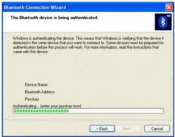 SONY Vaio VGN-S170 - Bluetooth Connection Wizard — Authentication Status - 1