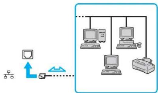 SONY Vaio VPCZ11RGX - Using the Network (LAN) - 1