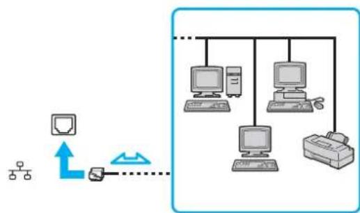 SONY Vaio VPCZ119HX - Using the Network (LAN) - 1