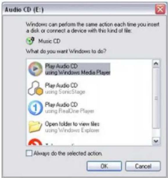 SONY Vaio PCG-GRT260G - Audio CD - 1