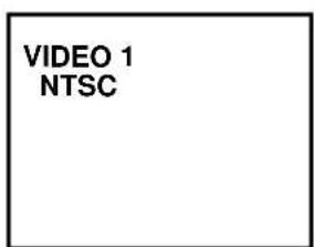 VIDEO 1 NTSC