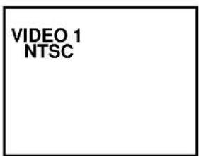 VIDEO 1 NTSC