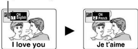 PANASONIC SC-HT790 - Press [SHIFT]+[SUBTITLE]. - 1