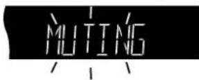 PANASONIC SC-HT790 - Muting the volume - 1