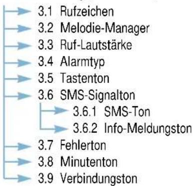 SAMSUNG SGH-Q100 - Menüs verwenden - 2