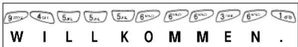 SAMSUNG SGH-Q100 - Text eingeben - 1