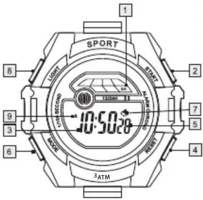 SPORT LIGHT START 10:50.20 12024H 2 9 3 6 5 7 4 3 ATM 3