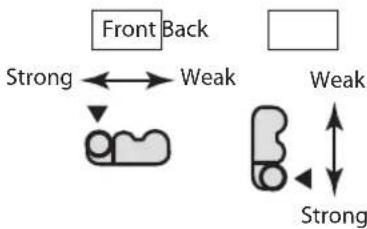Front Back Strong ← Weak Weak Strong Weak