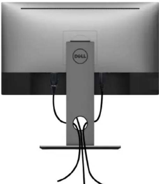 DELL UltraSharp U2721DE - Kabel organisieren - 1